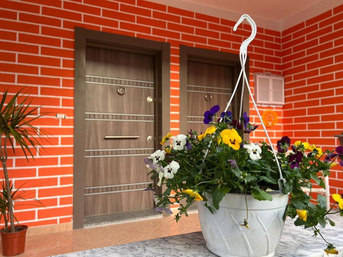 Chestnut Yard Villa Τίρανα Εξωτερικό φωτογραφία