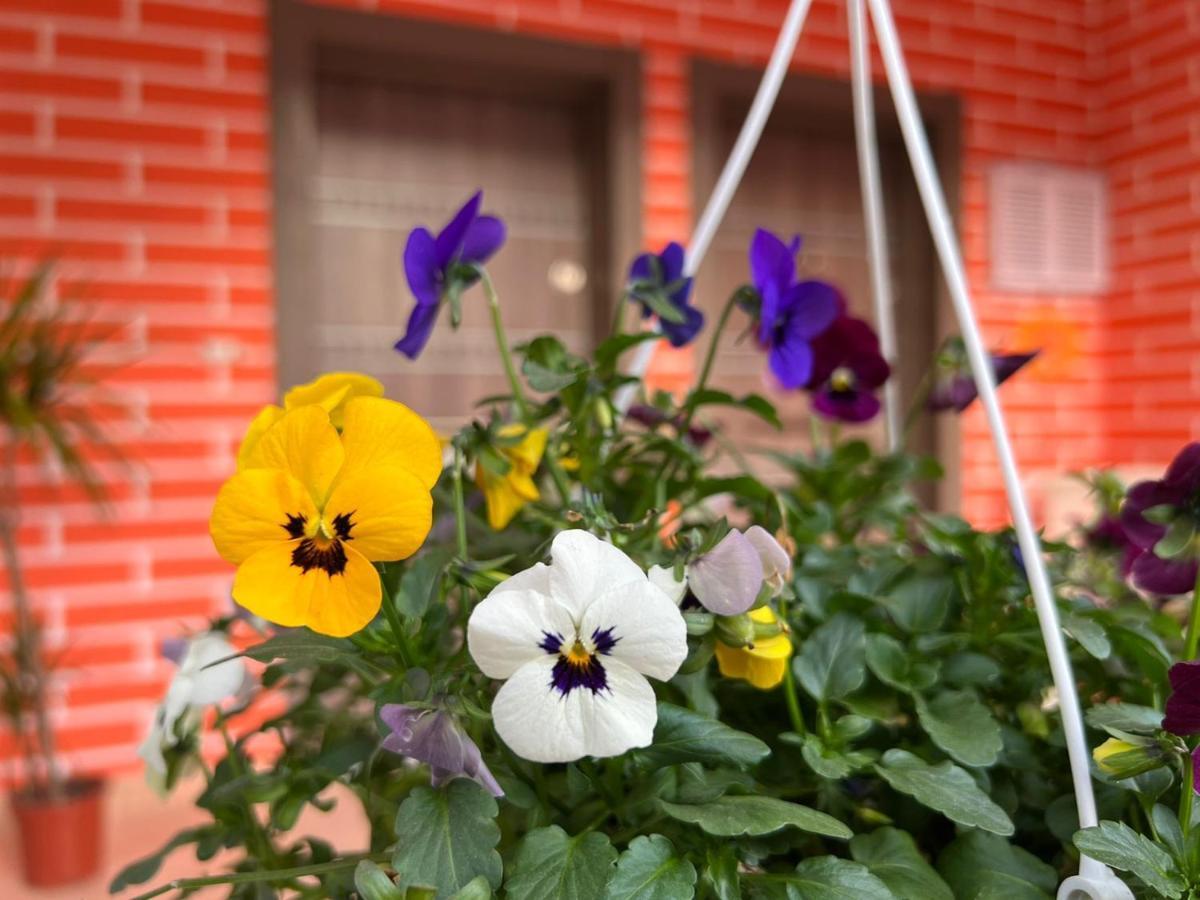 Chestnut Yard Villa Τίρανα Εξωτερικό φωτογραφία